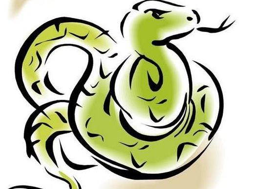蛇會主動咬熟睡的人嗎?家里有蛇怎么驅趕出去?