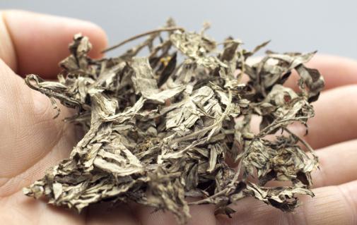 艾葉水洗頭發能生發嗎 用艾葉洗頭有什么注意的