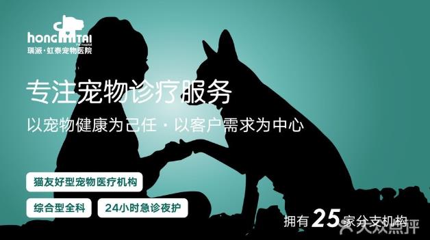杭州貓友好型+24小時寵物醫院,有家,有愛,有虹泰。