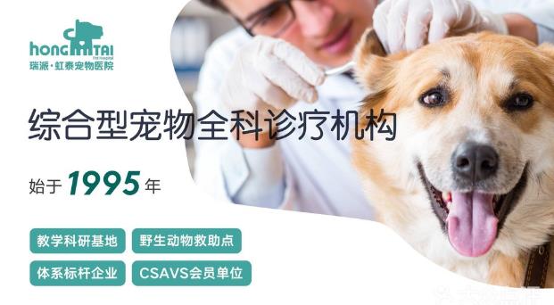 杭州貓友好型+24小時寵物醫院,有家,有愛,有虹泰。