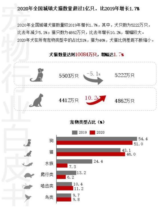 杭州貓友好型+24小時寵物醫院,有家,有愛,有虹泰。
