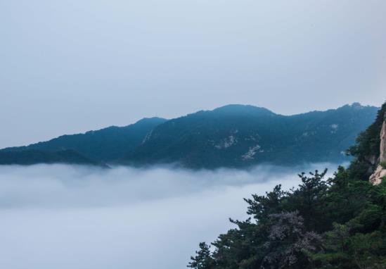 行程卡定位到市還是區?行程卡需要填寫身份證信息嗎