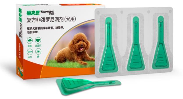 小狗怎樣才算驅蟲成功?體外驅蟲需要注意什么?