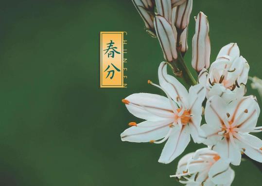 春分是每年的什么時候?春分過后還會冷多久