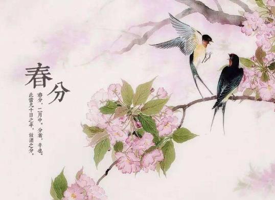 春分下雨好還是不下雨好?春分為何晝夜等長(zhǎng)