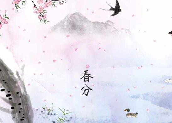 春分豎蛋用的雞蛋怎么選擇?春分節氣遷墳好不好
