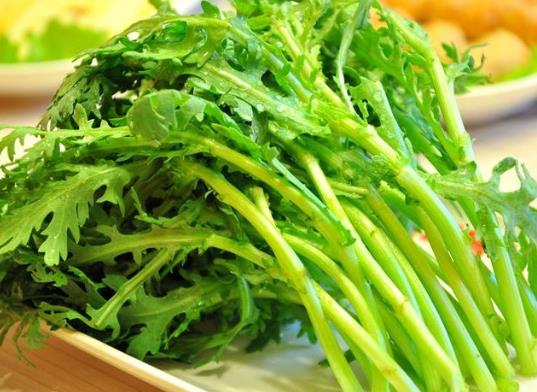 茼蒿菜的種子要幾天才能發芽?如何種植茼蒿