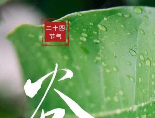 2022谷雨能不能種玉米?2022年谷雨是農歷幾月幾日