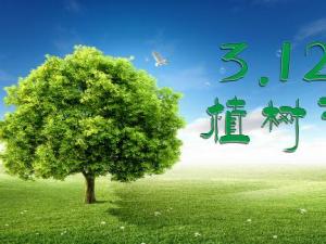 植樹節是幾月幾日？關于植樹節的由來和意義