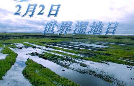 22ʲô(ji)գǎ