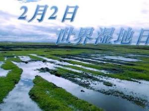 2月2日是什么節(jié)日？世界濕地日是幾月幾日