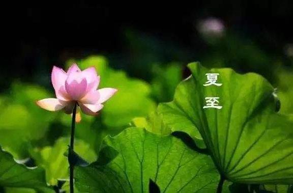 夏至節氣過后白天越來越長還是越來越短 夏至過后是什么節氣