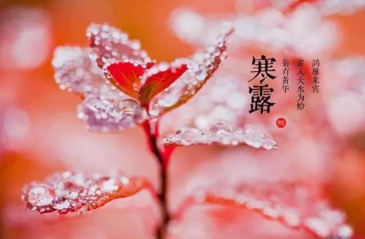 寒露節氣的特點是什么?2021年寒露節在哪天?