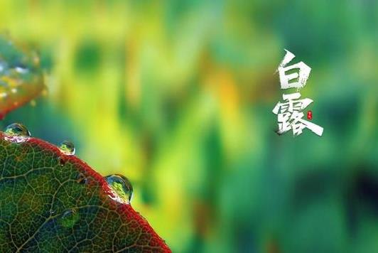 白露秋燥吃什么?2022年白露是什么時(shí)候?