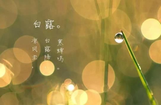 白露節氣還有蟬鳴嗎?進入白露天氣會怎么樣?