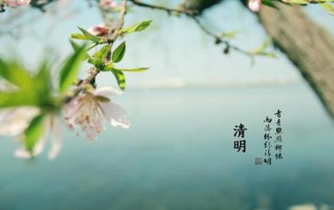 清明節(jié)上墳前三后四算當天嗎?清明節(jié)買的花可以拿回家嗎