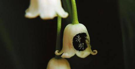 清明節(jié)上墳是前后十天嗎?清明節(jié)上墳單號去好還是雙號去好