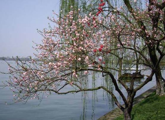 2022年立春躲春的時候可以玩手機(jī)嗎?2022立春躲春能不能兩個人一起