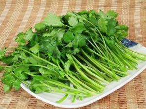 孕婦能不能吃香菜？孕婦可以吃香菜嗎