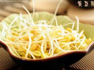 孕婦能吃黃豆芽嗎？孕婦吃黃豆芽的做法