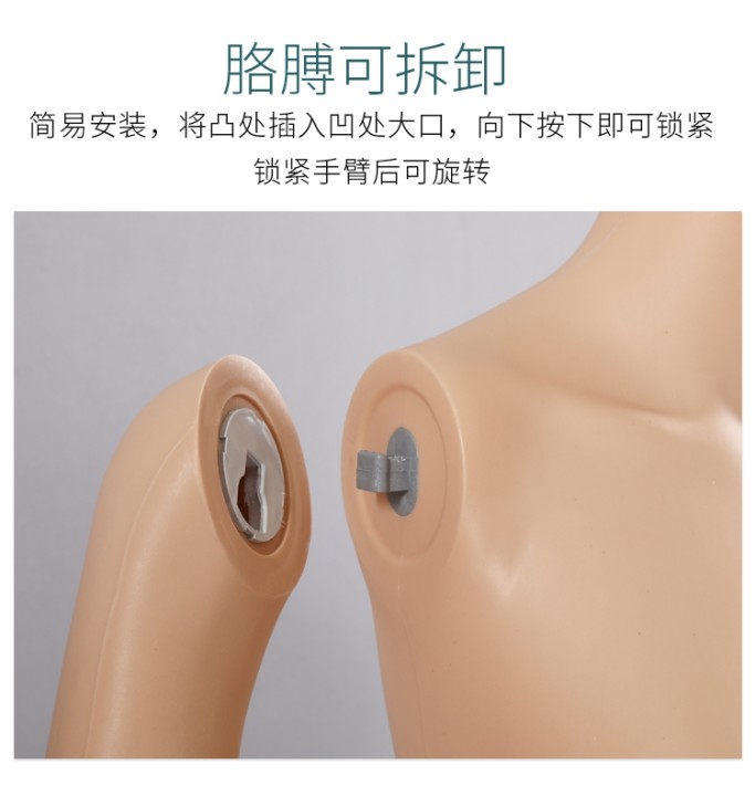 真奇服裝模特:打造簡約櫥窗,時尚的格調