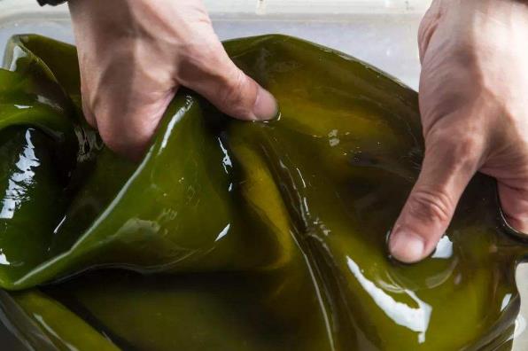 長霉的海帶洗干凈可以吃嗎 干海帶有白點是發霉了嗎