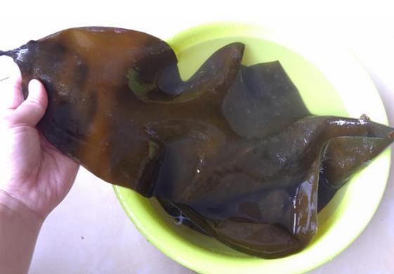 長霉的海帶洗干凈可以吃嗎 干海帶有白點是發霉了嗎