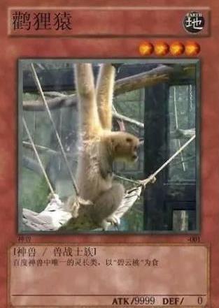 中國網(wǎng)絡(luò)十大神獸是什么意思?網(wǎng)絡(luò)十大神獸都是什么?神獸排行榜