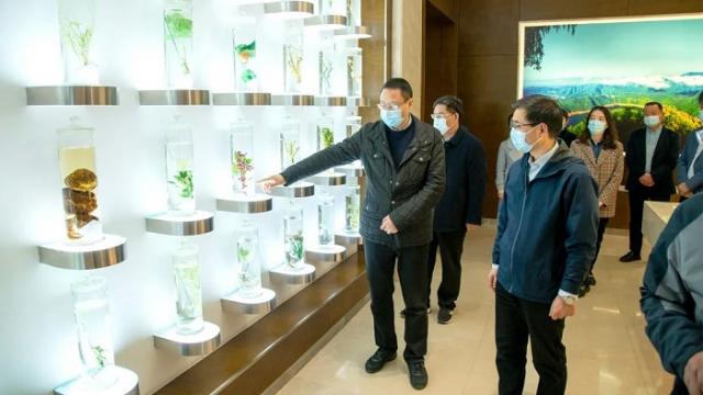 負責作講解的仲景宛西制藥董事長、總經理孫鋒很是感慨:“以前常在不同的中醫藥論壇上聽崔教授講經方,這是第一次聽他講中醫藥事業發展,受益頗深,他是真正的專家型領導!”
