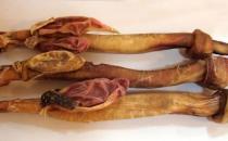 吃動物鞭能壯陽嗎？吃動物鞭補腎壯陽的禁忌