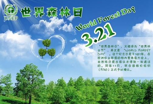3月21日是什么節日？世界森林日的來歷和意義