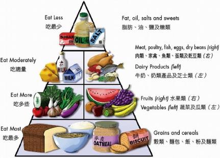 中國(guó)人碗里缺什么營(yíng)養(yǎng)素？補(bǔ)充營(yíng)養(yǎng)素的誤區(qū)