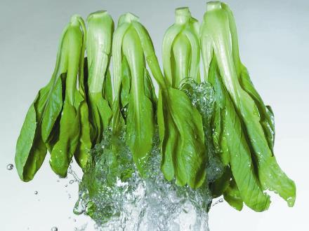 如何選購油菜？油菜的食用禁忌