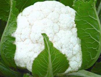 花菜的營養(yǎng)價(jià)值