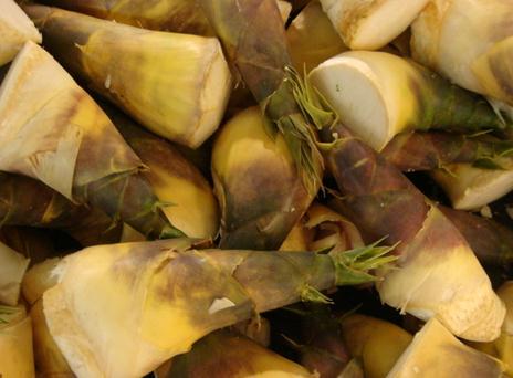 春筍的營(yíng)養(yǎng)價(jià)值-吃春筍的好處