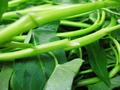 空心菜的營養(yǎng)價(jià)值-空心菜的功效與作用