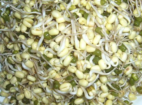 吃綠豆芽有什么好處？綠豆芽的營(yíng)養(yǎng)價(jià)值，綠豆芽的功效與作用