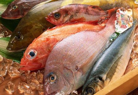 吃哪種魚可補(bǔ)肝益氣？各種魚肉的保健功效