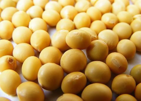 吃黃豆有什么好處？黃豆有什么營(yíng)養(yǎng)價(jià)值
