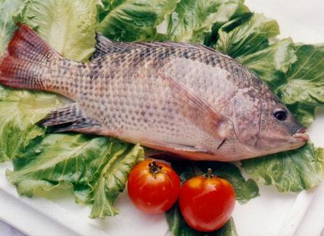吃魚肉的營養(yǎng)價(jià)值高：吃帶魚可保持皮膚濕潤彈性