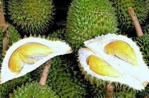 榴蓮的營養價值、功效與作用、食用禁忌