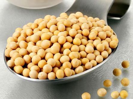 常吃黃豆有什么好處？黃豆的營(yíng)養(yǎng)價(jià)值、功效與作用