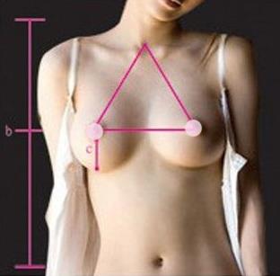 胸圍怎么算？你的胸圍是否標(biāo)準？女人完美乳房標(biāo)準詳細圖解