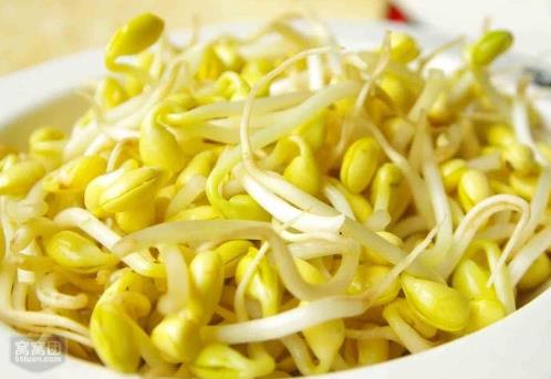 如何發黃豆芽？家庭怎么發黃豆芽