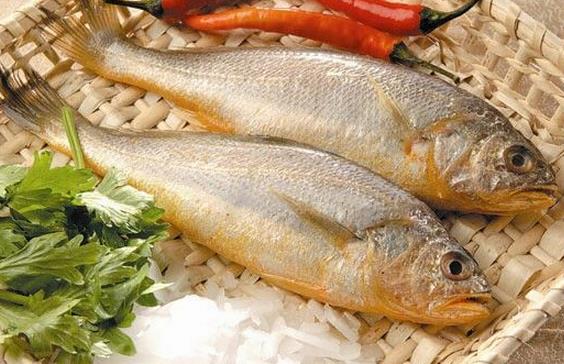 如何辨別染色黃魚(yú)？辨別染色黃魚(yú)的方法