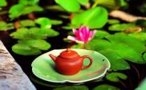 怎么喝荷葉茶才能健康減肥？