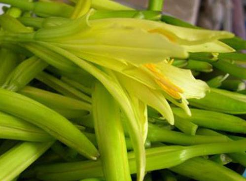 黃花菜怎么做好吃？黃花菜的吃法