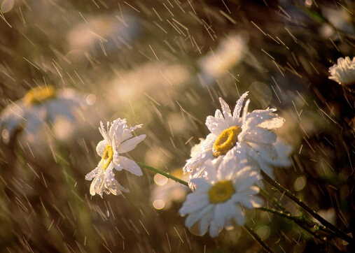 梅雨季節是什么時候？梅雨季節吃什么