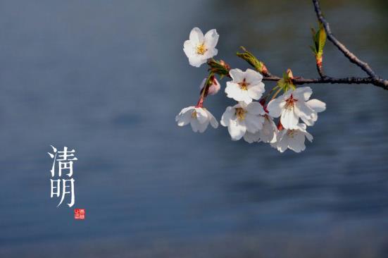 清明是什么時候？二十四節(jié)氣之清明的由來與含義