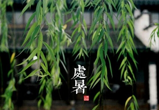 處暑是什么意思？處暑養(yǎng)生注意事項